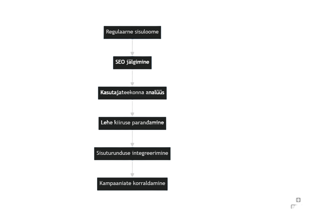 vooskeem, mis näitab tarkvaraarendusprotsessi SEO erinevaid etappe